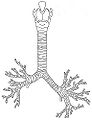 Thumbnail for version as of 00:19, 10 February 2013