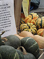 Thumbnail for version as of 01:32, 24 April 2009