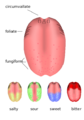 Thumbnail for version as of 07:02, 27 February 2013