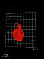 Thumbnail for version as of 15:39, 18 February 2011