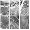 Thumbnail for version as of 14:56, 13 February 2012