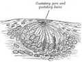 Thumbnail for version as of 20:14, 26 February 2013