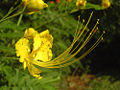Thumbnail for version as of 06:58, 2 June 2008