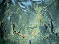 Thumbnail for version as of 19:30, 21 October 2008