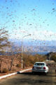 Thumbnail for version as of 15:48, 25 April 2007