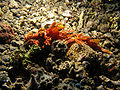 Thumbnail for version as of 02:23, 28 February 2011