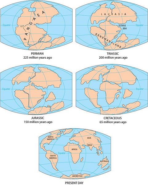Файл:Continental drift.jpg