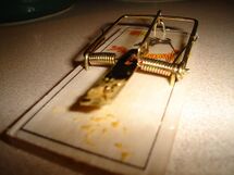 Mousetrap.jpg