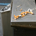 Thumbnail for version as of 07:02, 18 February 2011