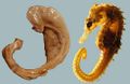Thumbnail for version as of 14:18, 2 June 2014
