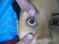 Thumbnail for version as of 22:53, 23 October 2016