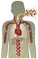 Thumbnail for version as of 04:35, 24 May 2010
