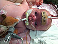 Thumbnail for version as of 11:31, 16 November 2012