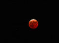 Thumbnail for version as of 21:02, 17 April 2010