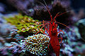 Thumbnail for version as of 23:52, 26 October 2011