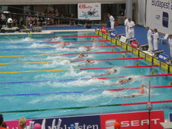 Pool 2015.jpg