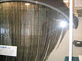 Baleen Plate