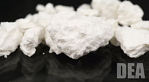 Cocaine hcl2.jpg