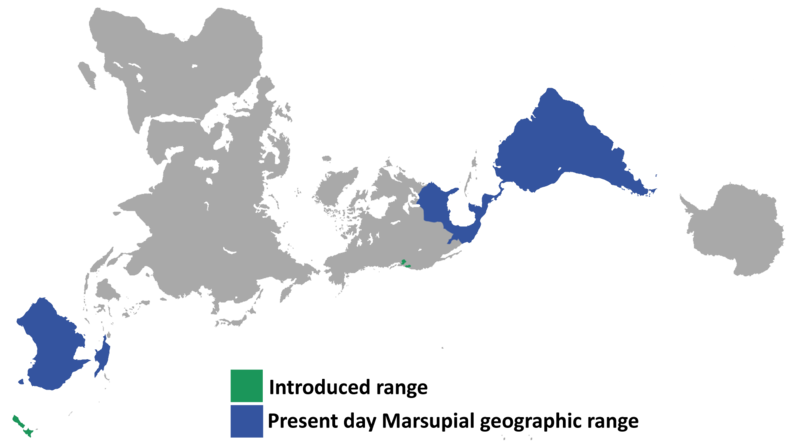 File:Marsupial biogeography present day.png