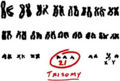 Thumbnail for version as of 19:19, 25 October 2007