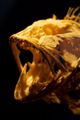Thumbnail for version as of 19:59, 16 November 2006