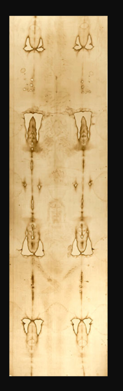 Shroud full length.PNG