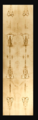 Thumbnail for version as of 17:03, 10 October 2019
