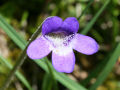 Thumbnail for version as of 05:19, 29 May 2014