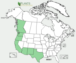 Arbutus range map.png