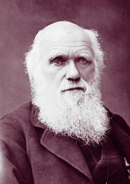 File:Charles Darwin jpg.jpeg