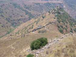 Gamla.jpg
