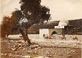 Thumbnail for version as of 17:03, 13 November 2008