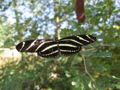 Thumbnail for version as of 18:03, 30 April 2007