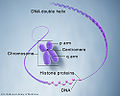 Thumbnail for version as of 20:00, 19 March 2010
