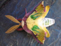 This is a damaged luna moth that fell from a tree while in its cocoon. Luna Moth; Species Actias Luna