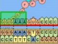 Thumbnail for version as of 20:27, 22 January 2008