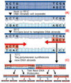 Thumbnail for version as of 18:52, 6 March 2007
