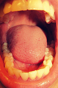 Mouth.jpg