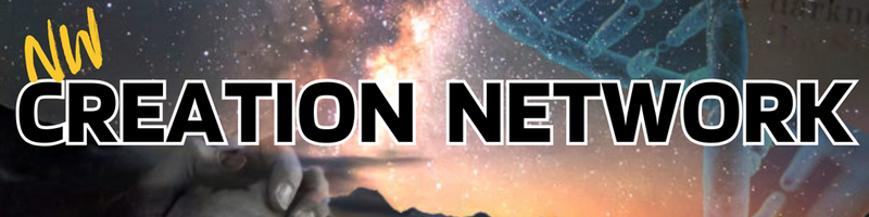 Nw creation network header.png