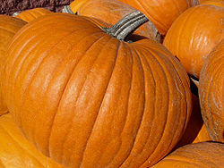 Pumpkins.jpg