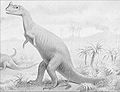 Ceratosaurus.jpg