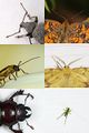 Thumbnail for version as of 23:02, 6 September 2020