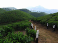Thumbnail for version as of 00:18, 28 May 2013