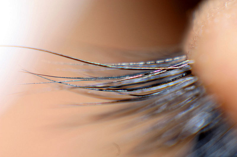 File:Detailed View of Eyelashes.jpg