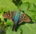 Thumbnail for version as of 01:43, 15 January 2014