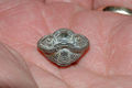 small Flexicalymene meeki trilobite is in the classic "rolled" defensive position