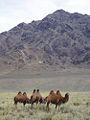 Thumbnail for version as of 23:44, 12 March 2008