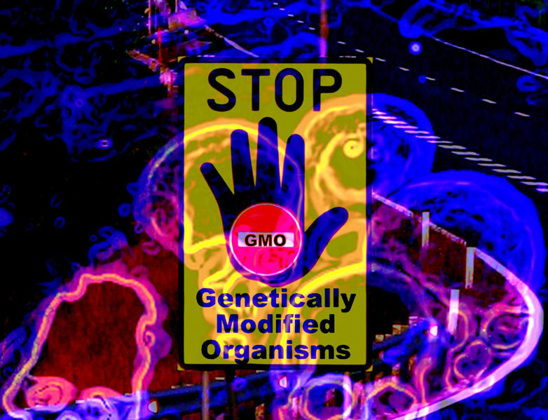 File:GMO sign.jpg