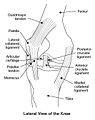 Thumbnail for version as of 01:58, 12 May 2010