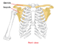 Thumbnail for version as of 08:09, 3 November 2011
